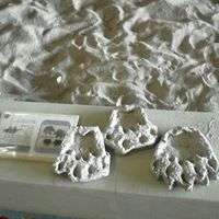Part of the Dinosaur Dig