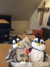 Cases Of Love Infant with Sammy