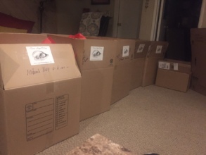 Our Last Boxes Ready for Inspection & Shipment