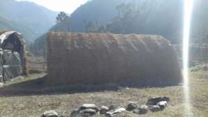 Hut