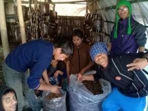 Seed Packing