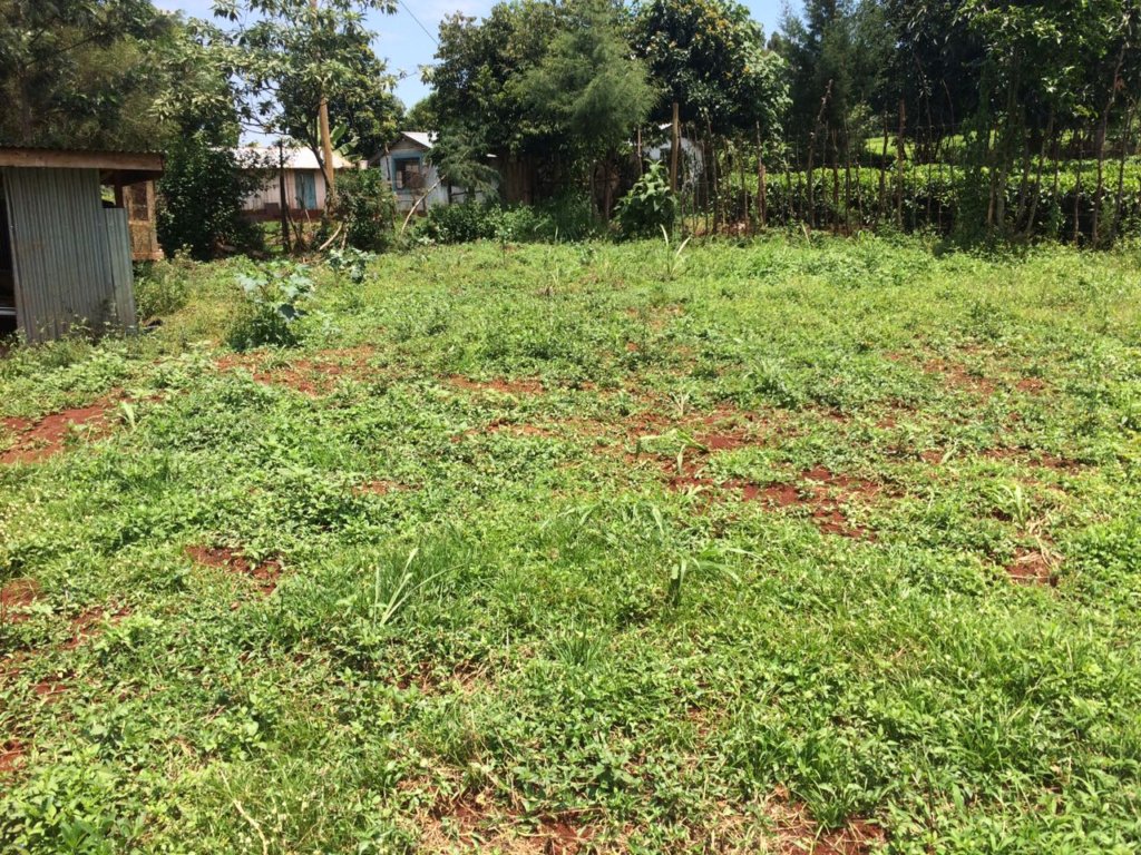 Rehabilitate 60 Substance Abuse Victims in Kericho