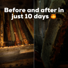 Before and after
