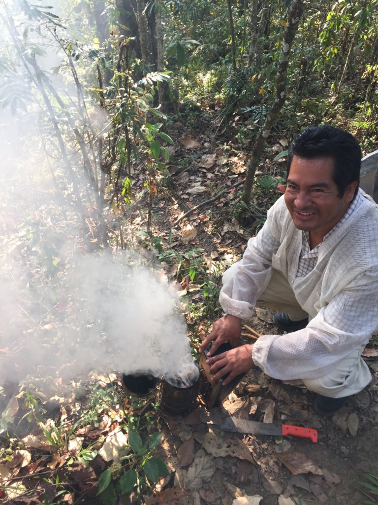 Moving 200 Beehives from Beekeepers in Chiapas