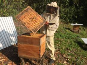 Beekeeper