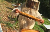 Moving 200 Beehives from Beekeepers in Chiapas