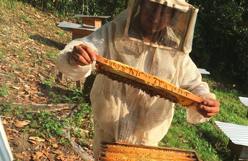 Moving 200 Beehives from Beekeepers in Chiapas