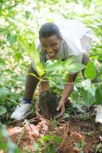 Tree Planting!