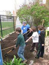 Spring planting in Healey School