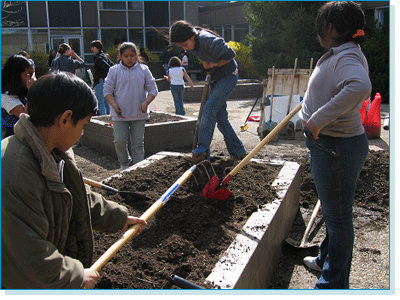 Schoolyard Gardens Program
