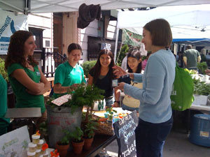 Schoolyard Gardens Program