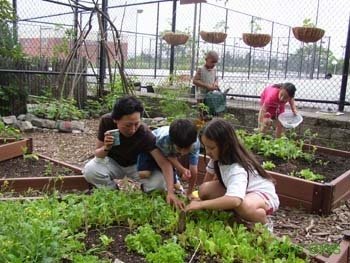 Schoolyard Gardens Program
