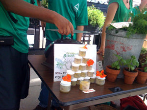 Schoolyard Gardens Program