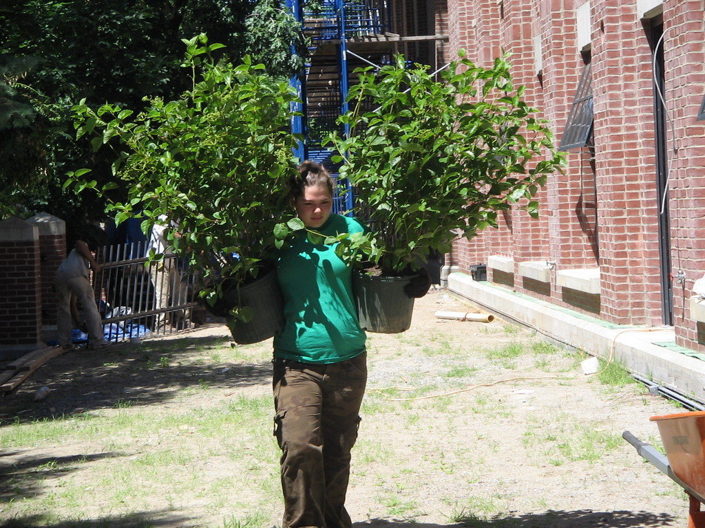 Schoolyard Gardens Program