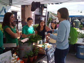 Grown in Somerville booth