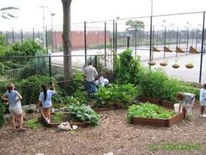 Healey Garden in its infancy