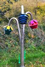 Outdoor Glockenblume Harmony