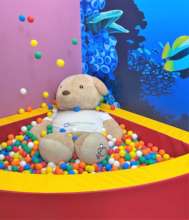 Teddy Fiete is happy to have playmates again