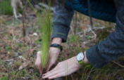 Help Us Perform 12 Carbon Reduction Projects