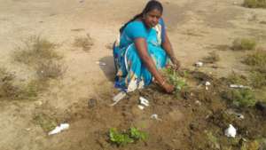 Sapling Planting work