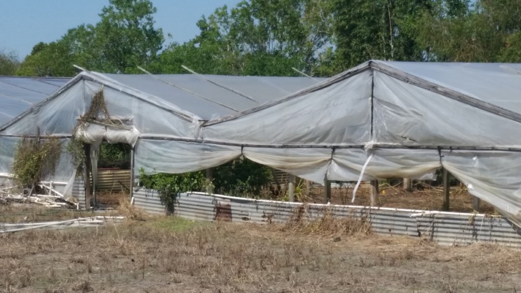 Texas Flood Relief, help victims clean and rebuild