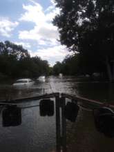 The owners of these cars tried to save them