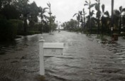 South Florida Hurricane Relief Fund