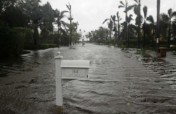 South Florida Hurricane Relief Fund