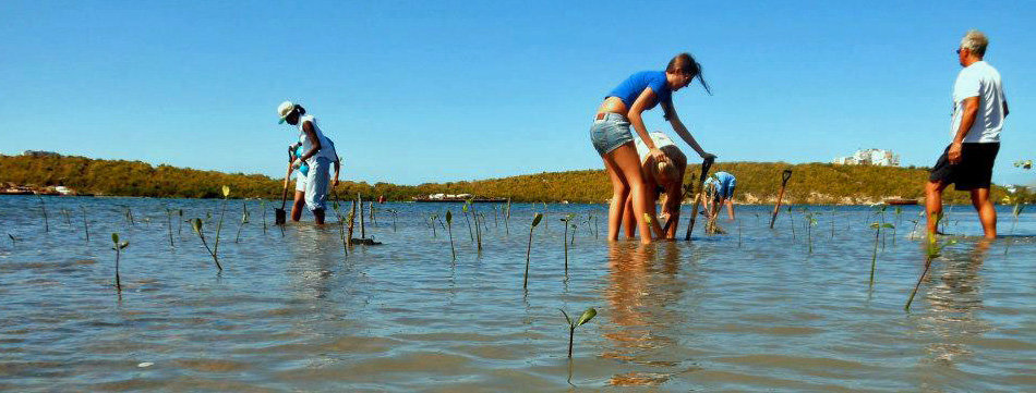 Irma Recovery for St. Maarten Environmental Org