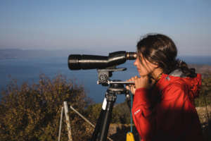 LHR day spotting operation, Lesvos