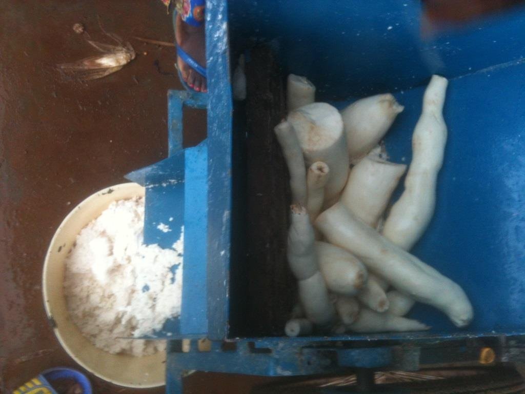 Cassava Processing