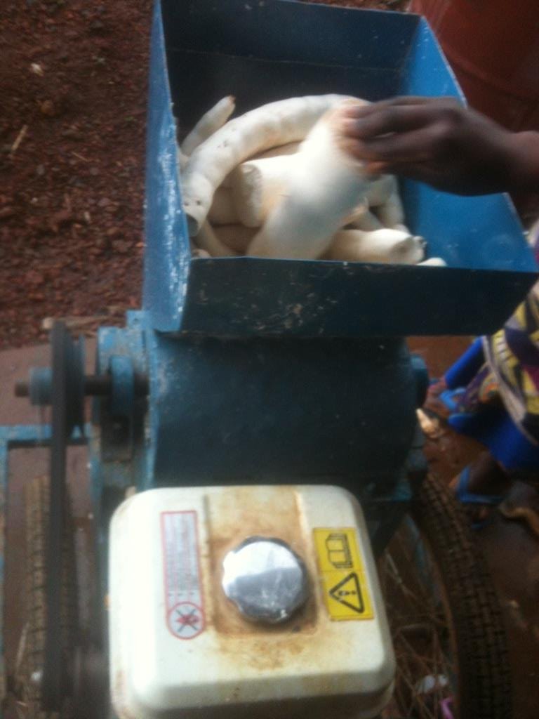 Cassava Processing