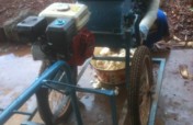 Cassava Processing