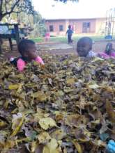 Autumn Leaves