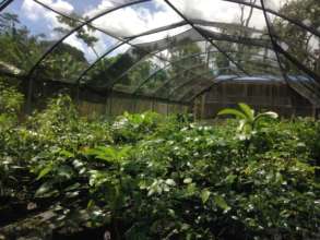 Nursery