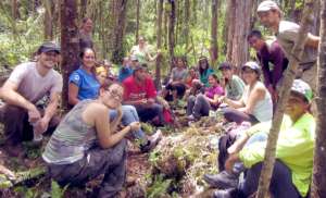 Volunteers in the forest