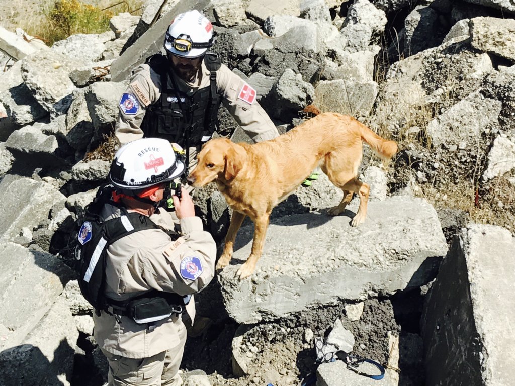 Rescuer Training (2017-2018)