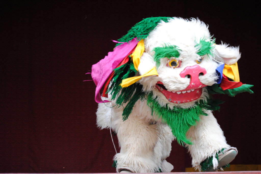 Protect Himalayan Culture through Education