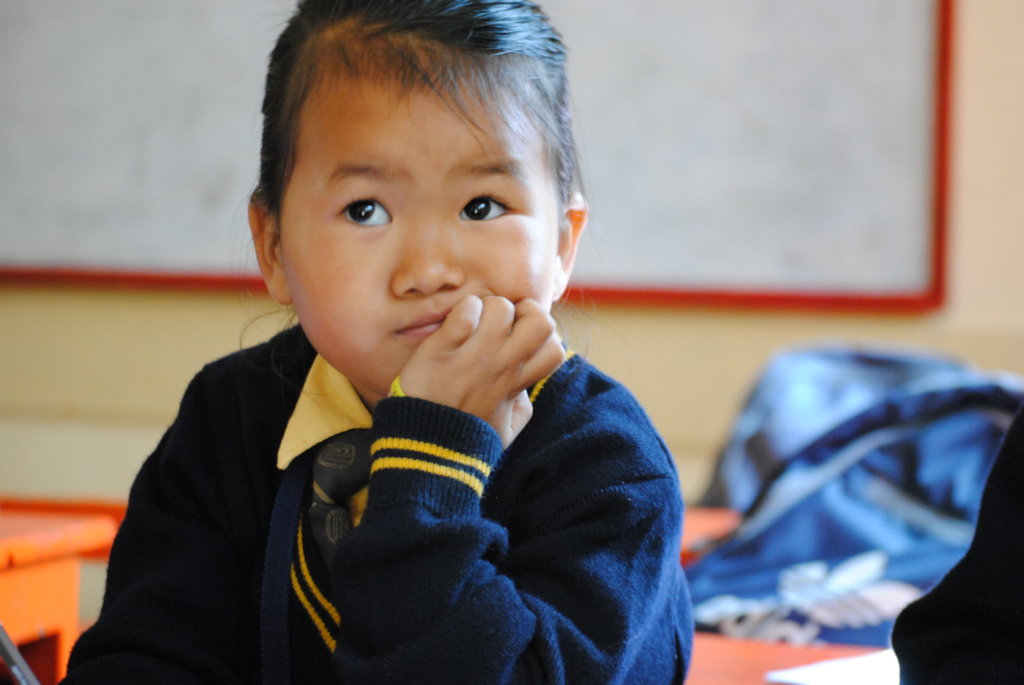 Protect Himalayan Culture through Education