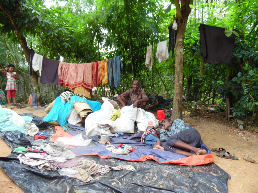 Assist Rohingya Refugees in Bangladesh