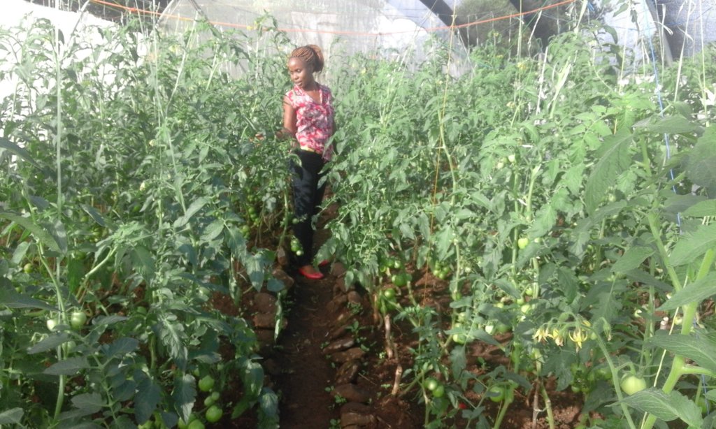 LITERACY FOR 100 GIRLS THROUGH GARDENING & SPORTS