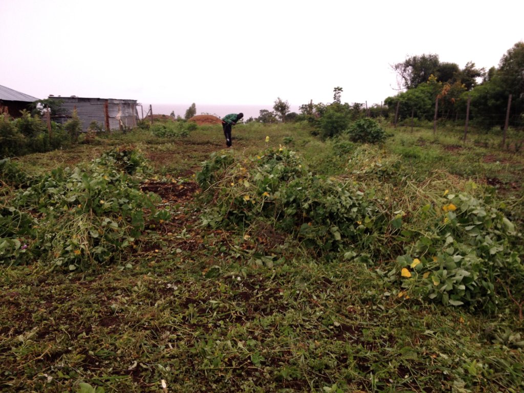 LITERACY FOR 100 GIRLS THROUGH GARDENING & SPORTS