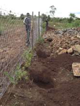 Fencing the garden with chain link