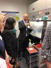Dr. Horiuchi in Lab