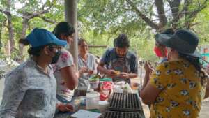 Growing plants in La Blanca