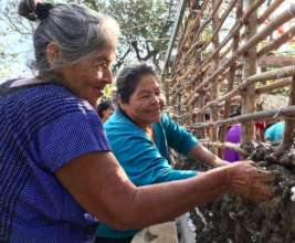 Construction with traditional bajareque system