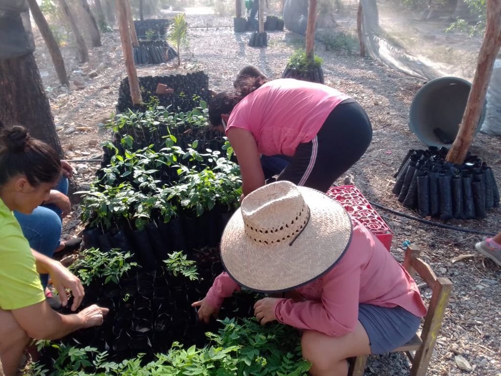 Rebuilding communities affected by 8.2 earthquake