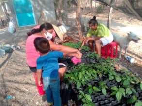 the community watering their plants