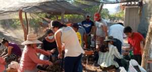 community work in the nursery garden