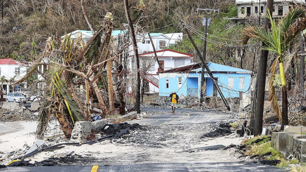 Great Carrot Bay after Irma and Maria, Joel Rouse
